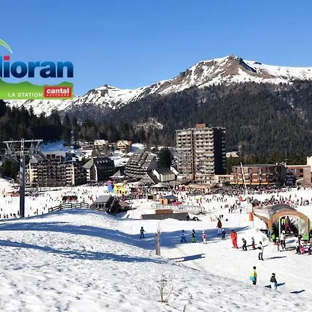 Le Puy Courny, 2 Lits, 28m2, Wifi アパート